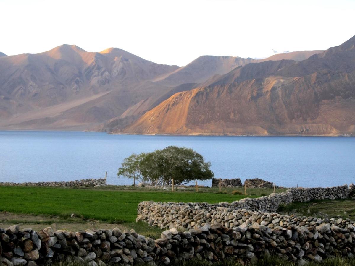 Pangong Delight Camps And Cottages Spangmik Екстериор снимка
